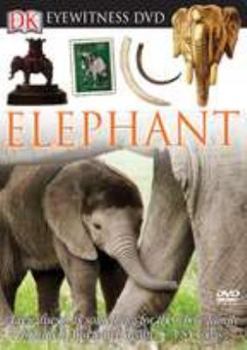 DVD Eyewitness DVD: Elephant Book