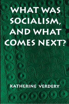 Paperback What Was Socialism, and What Comes Next? Book