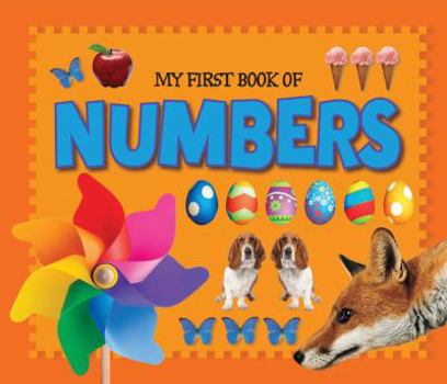 Board book My First Book of Numbers Book