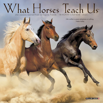 Calendar What Horses Teach Us 2020 Mini Wall Calendar Book