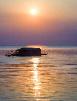 Paperback Brief Exposure: The Year of the Rat Book