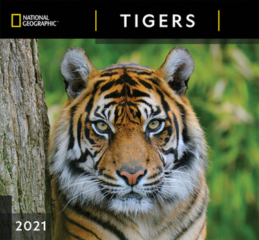 Calendar Cal 2021- National Geographic Tigers Wall Book