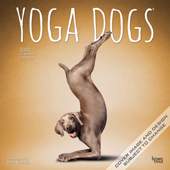 Yoga Dogs OFFICIAL 2022 12 x 12 Inch Monthly Square Wall Calendar, Animals Humor Pets