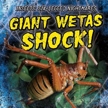Giant Wetas Shock! - Book  of the Insects: Six-Legged Nightmares