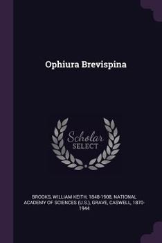 Paperback Ophiura Brevispina Book