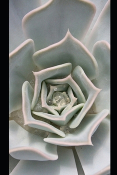 Paperback Journal: A cactus themed notebook journal for your imagination to come to life Book