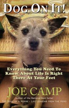 Paperback Dog on It! - Everything You Need to Know about Life Is Right There at Your Feet Book