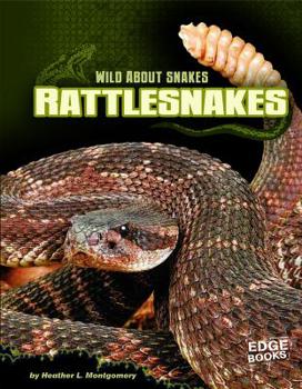 Paperback Rattlesnakes (Edge Books: Wild About Snakes) Book