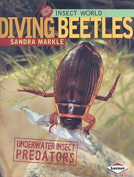 Paperback Diving Beetles: Underwater Insect Predators Book