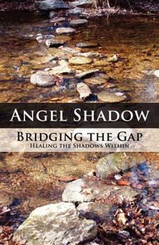Paperback Bridging the Gap: Healing the Shadows Within Book