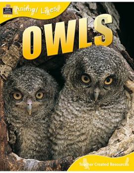 Paperback Animal Lives: Owls Book
