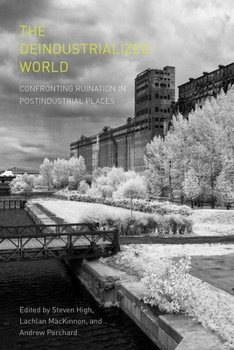 Hardcover The Deindustrialized World: Confronting Ruination in Postindustrial Places Book
