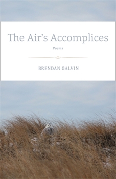 Paperback The Air's Accomplices: Poems Book