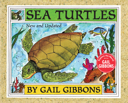 Paperback Sea Turtles Book