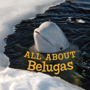 Paperback All about Belugas: English Edition Book