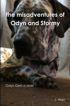 Paperback The misadventures of Odyn and Stormy Book