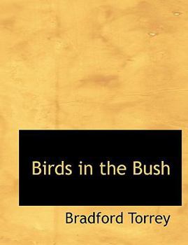 Birds in the Bush