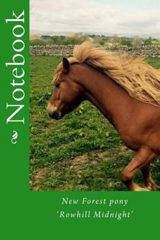 Paperback Notebook: New forest pony 'Rowhill Midnight' Book