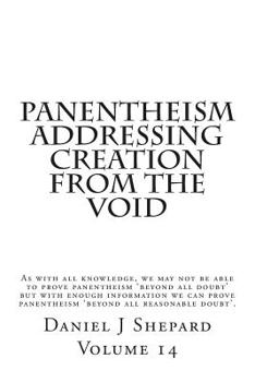 Paperback Panentheism Addressing Creation from the Void Book