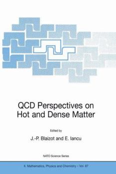 Paperback QCD Perspectives on Hot and Dense Matter Book