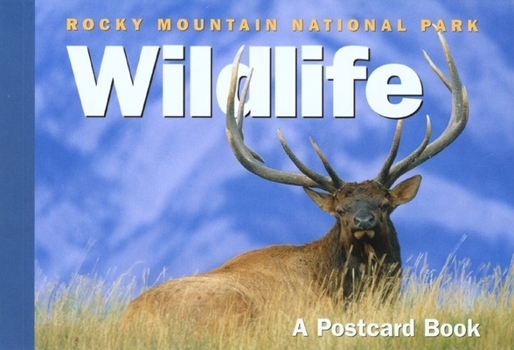 Paperback Rocky Mountain Trout Flies: A Postcard Book