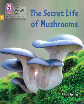 The Secret Life of Mushrooms: Phase 5 Set 4 Stretch and challenge (Big Cat Phonics for Little Wandle Letter)