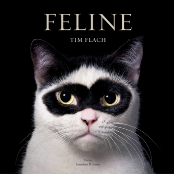 Hardcover Feline: Photographs Book
