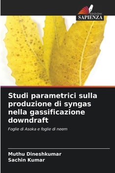 Paperback Studi parametrici sulla produzione di syngas nella gassificazione downdraft [Italian] Book