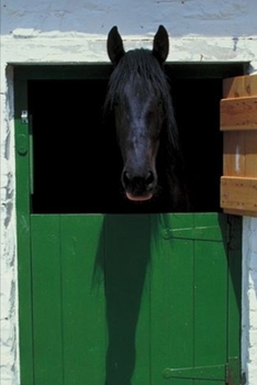 2020 Weekly Planner Horse Photo Equine Stabled Horse French Door 134 Pages: 2020 Planners Calendars Organizers Datebooks Appointment Books Agendas
