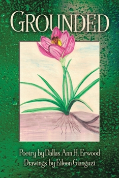 Paperback Grounded Book