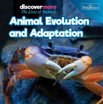 Library Binding Animal Evolution and Adaptation Book