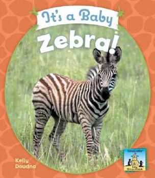 It's a Baby Zebra! - Book  of the Baby Mammals