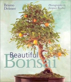 Hardcover Beautiful Bonsai Book