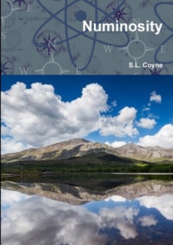 Paperback Numinosity Book