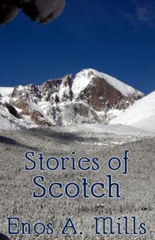 Paperback Stories of Scotch [Large Print] Book