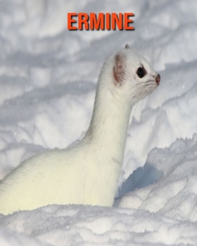 Ermine: Beautiful Pictures & Interesting Facts Children Book About Ermine