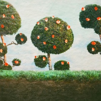 Music - CD Painting The Roses Book