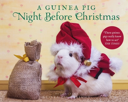 Hardcover A Guinea Pig Night Before Christmas Book