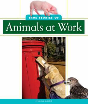 Library Binding True Stories of Animals at Work Book