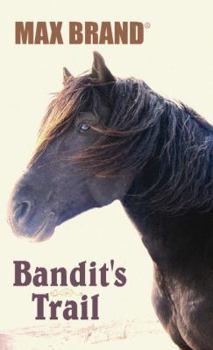 Library Binding Bandit's Trail [Large Print] Book