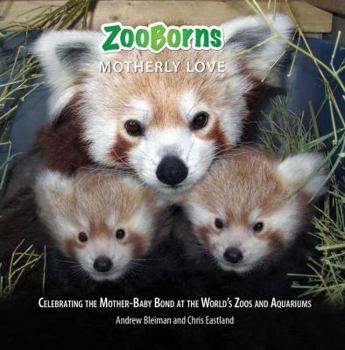 Hardcover Zooborns Motherly Love: Celebrating the Mother-Baby Bond at the World's Zoos and Aquariums Book