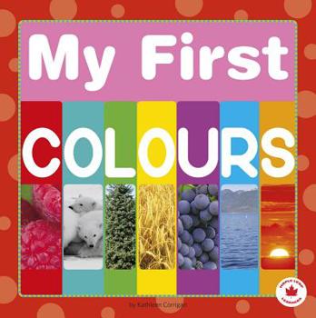 Board book My First Colours Book