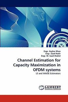 Channel Estimation for Capacity Maximization in OFDM systems: LS and MMSE Estimators