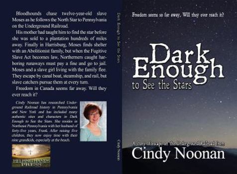 Paperback Dark Enough to See the Stars Book