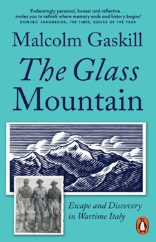 Paperback The Glass Mountain Book