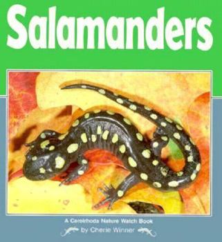 Paperback Salamanders Book