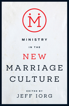 Paperback Ministry in the New Marriage Culture Book