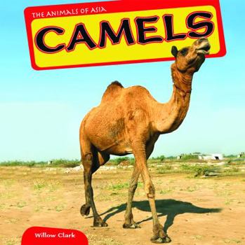 Library Binding Camels Book