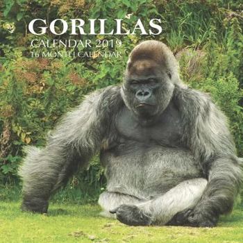 Gorillas Calendar 2019: 16 Month Calendar