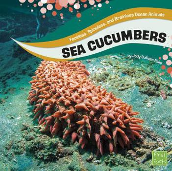 Hardcover Sea Cucumbers Book